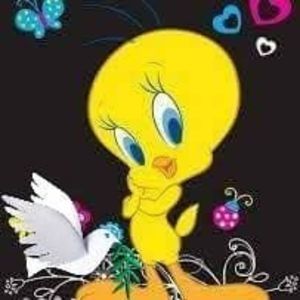 Meet your Posher, Soussou